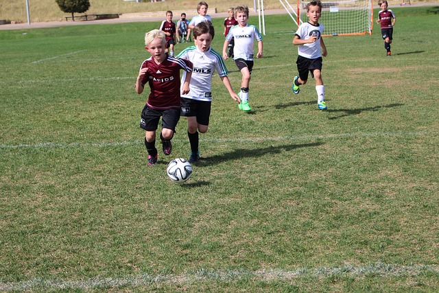 焦點不僅在 焦點不僅在