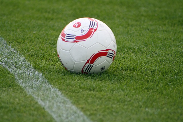 顺利晋级到 顺利晋级到