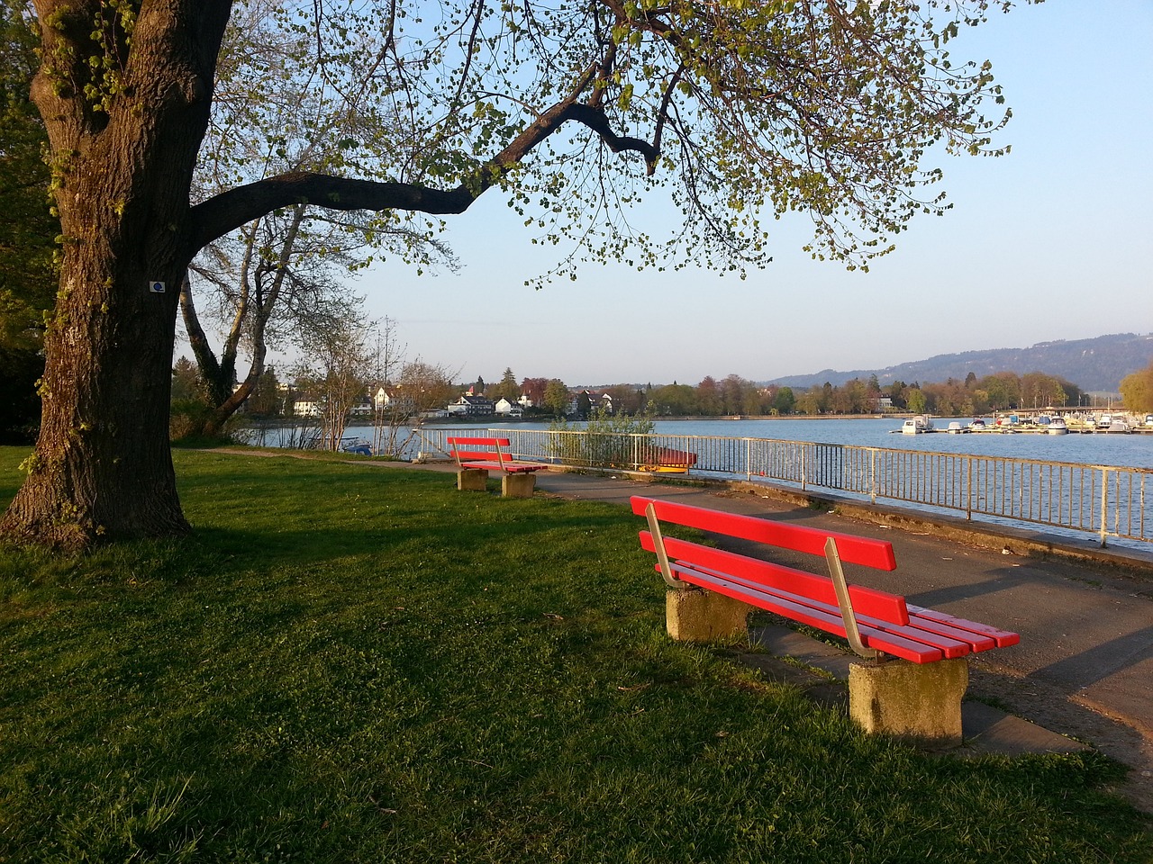 总得分正式 总得分正式