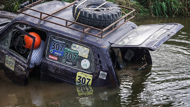政策可能会 政策可能会