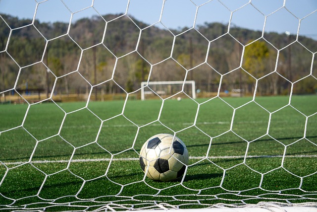 这种对于 这种对于