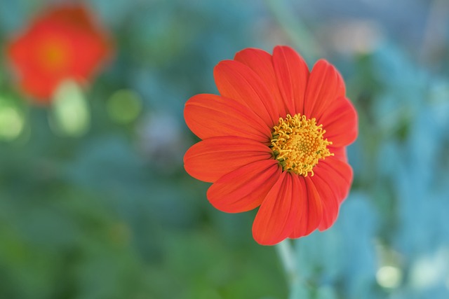 将赋予新东 将赋予新东