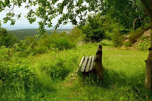 名气的外援 名气的外援